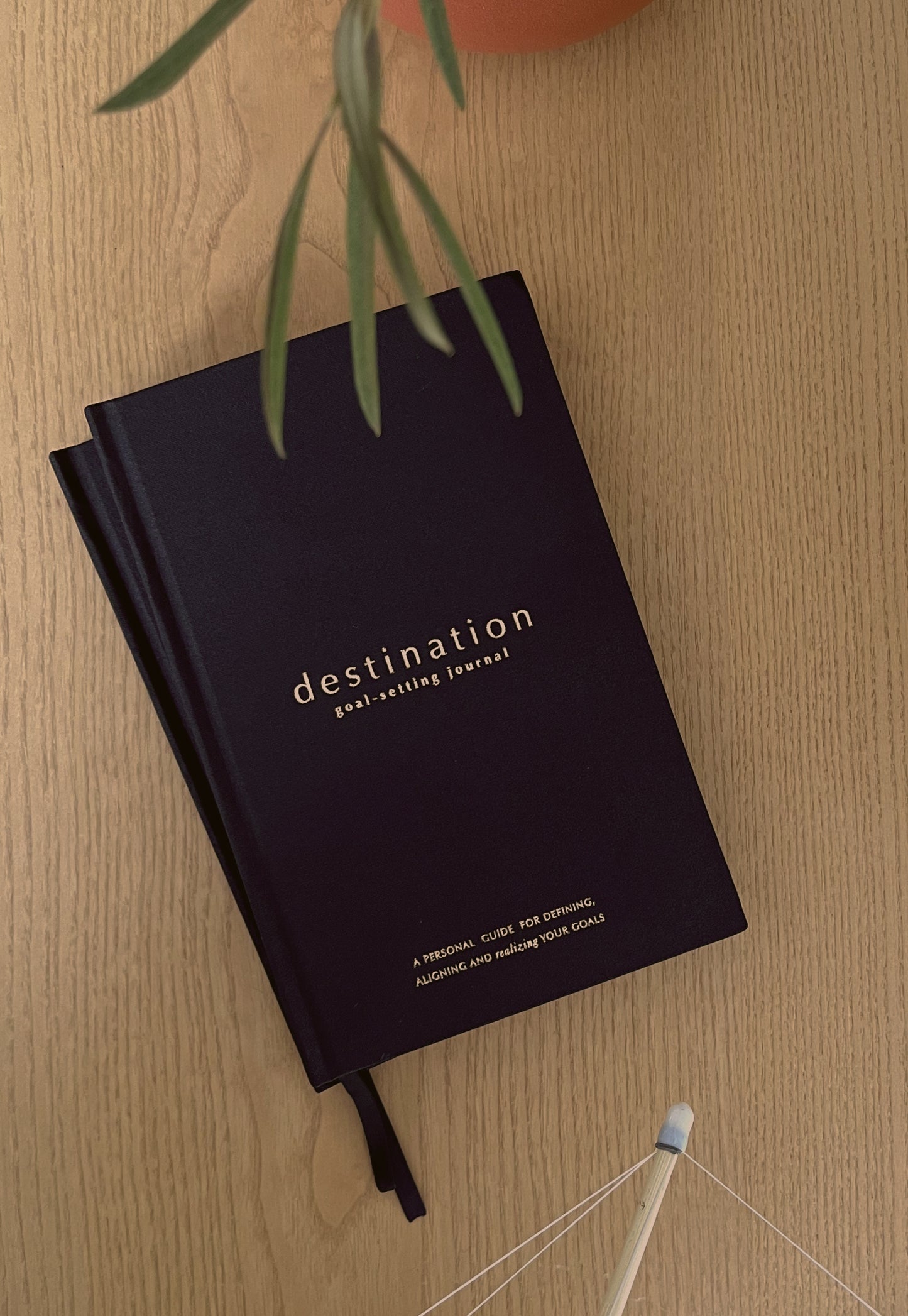 Destination: Goal-Setting Journal